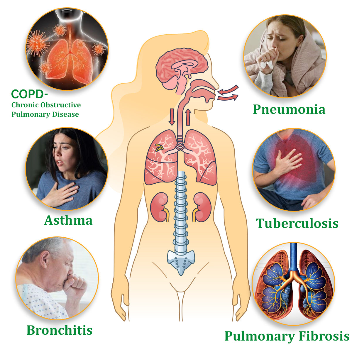 🦙✅Official Store|Ourlyard™ Herbal Lung Cleansing Inhaler(💝 Cough, wheezing, shortness of breath, sputum, stuffy nose, bronchitis, bronchitis, allergy symptoms, lung discomfort💝)
