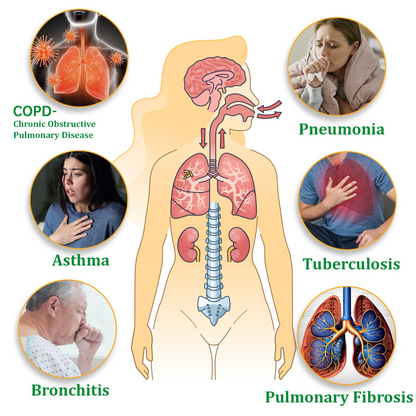 🦙✅Official Store|Ourlyard™ Herbal Lung Cleansing Inhaler(💝 Cough, wheezing, shortness of breath, sputum, stuffy nose, bronchitis, bronchitis, allergy symptoms, lung discomfort💝)