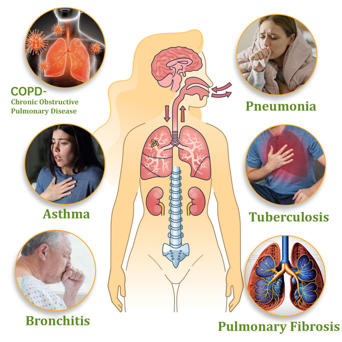 ✅Official Store|Zvoevo® NAC-Enhanced Lung Cleansing Inhaler(🫁Sinusitis,cough, wheezing, shortness of breath, sputum, stuffy nose, bronchitis, allergy symptoms, lung discomfort🫁)